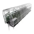 Mini Greenhouse Mini Greenhouse
