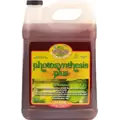 Premium Photosynthesis Plus