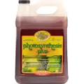 Premium Photosynthesis Plus