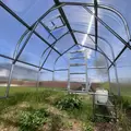Arrow Greenhouse