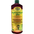 Premium Photosynthesis Plus
