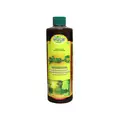 Photosynthesis Plus – C