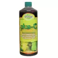 Photosynthesis Plus – C