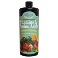 Vitamins And Amino Acids