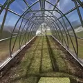 Classic Arch Greenhouse