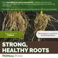 Prime Organic Soil Conditioner