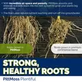 Plentiful Organic Potting Mix