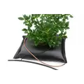 TD24S - Square Shape For Plants Of 12 Inches Rootball