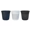 Liam Planter