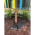 TD48R - Round Shape For Plants Of 24 Inches Rootball
