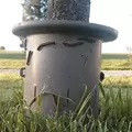 Tree & Plant Guard - Insect & Outdoor Protection for Trees Up To 4"