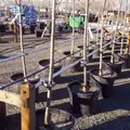 Trellis-Mate - Mounted Tree And Plant Support
