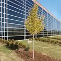 Tree-Mate-O Tree Support & Protection System
