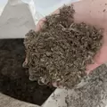 Coco Complete Coir Blend