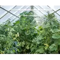 A-Frame Modular Greenhouse - 8' x 12'