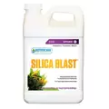 SILICA BLAST 2.5GAL