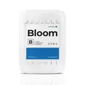 Bloom B - Athena 5 Gal