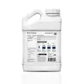 Cleanse - Athena