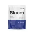 Bloom - Athena