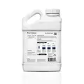 Balance PH - Athena 1 Gal