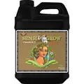 PH Perfect Sensi Coco Grow Part B - Advanced Nutrients