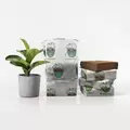 1 Gal Magic Pot Coco Coir Non-woven Open Top 12 Blocks/Pack - The Protector