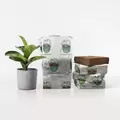 1 Gal Magic Pot Coco Coir Non-woven Open Top 12 Blocks/Pack - Innovative Tool and Design