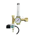 CO2 Regulator - The Protector