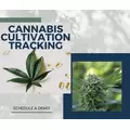 Cannabis Cultivation Tracking - Royal 4 Systems