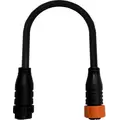 1ft AWG #18 Daisy Chain Cord for Model One LED (TDC-2)