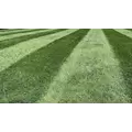 Emerald 10-0-20 Lawn Fertilizer