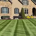 Almighty 20-0-10 Lawn FertilizerAlmighty 20-0-10 Lawn Fertilizer