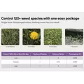 Celsius WG Herbicide