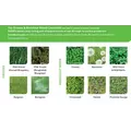 Negate 37WG Herbicide