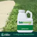 Quintessential Weed Killer