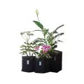 GeoPot Garden Kit - Left Coast Wholesale