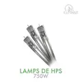 DE HPS Lamp - ILuminar Lighting