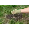 Lesco Double Eagle Rye Grass Seed