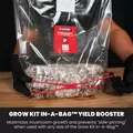 MushroomSupplies Mycomultiplier™ Yield Booster - 5 CT