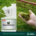 QuickSilver Weed Killer