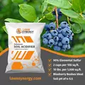 Soil Acidifier
