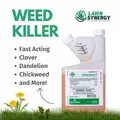 Triad SELECT Broadleaf Herbicide