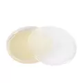 North Spore - EC - Pre-Poured Sterile Agar Plates - 10 CT