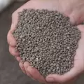 Organic Lawn Fertilizer 5-3-0 BioBoost with 2% Iron
