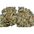 Michigan Mindf*ck - Platinum Seeds