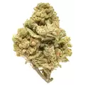 Acapulco Gold - Platinum Seeds