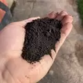 Urban Worm Castings