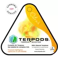 Citrus Terpods - Cannabis Derived Terpene Blend