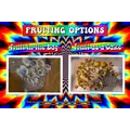 5lb Magical All-In-One Mushroom Grow Bag - Booming Acres