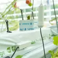 G3 Multi Substrate Sensor T12 (EC, VWC, Temp) - Grownetics